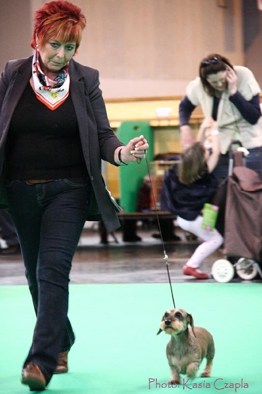 Crufts2011_2 1484.jpg